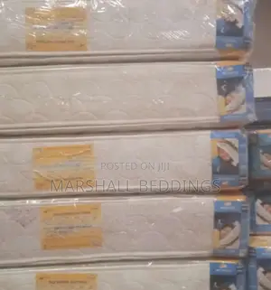 4by6/12inch Double Layer Nile Spring Mattress
