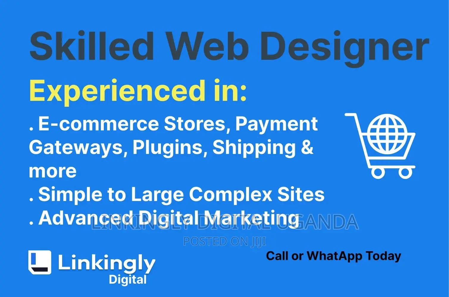 Expert Web Designer, Trusted Web Designer 4 Your Business