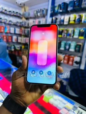 Apple iPhone 12 Pro 128 GB Silver