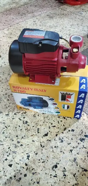 Booster Surface Water Pump Royalty Italy 