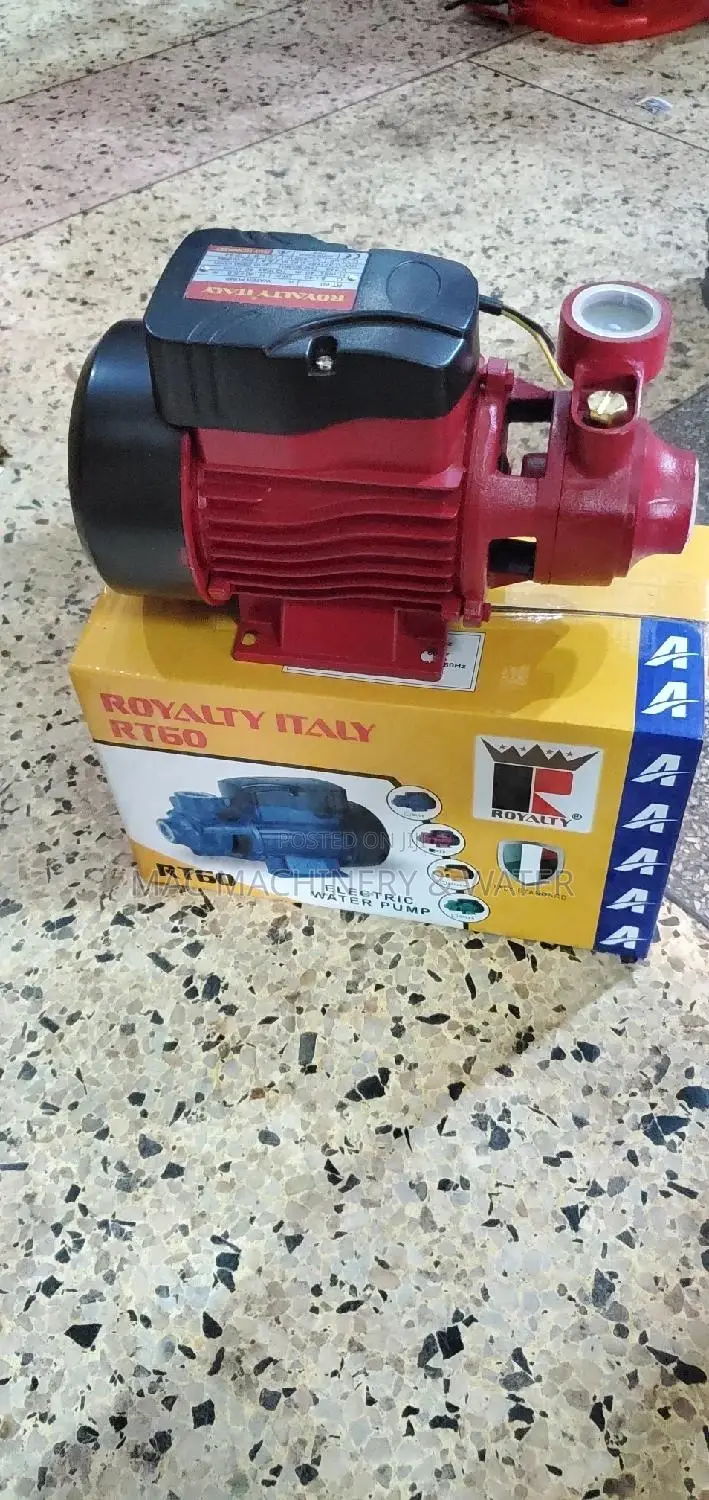 Booster Surface Water Pump Royalty Italy 