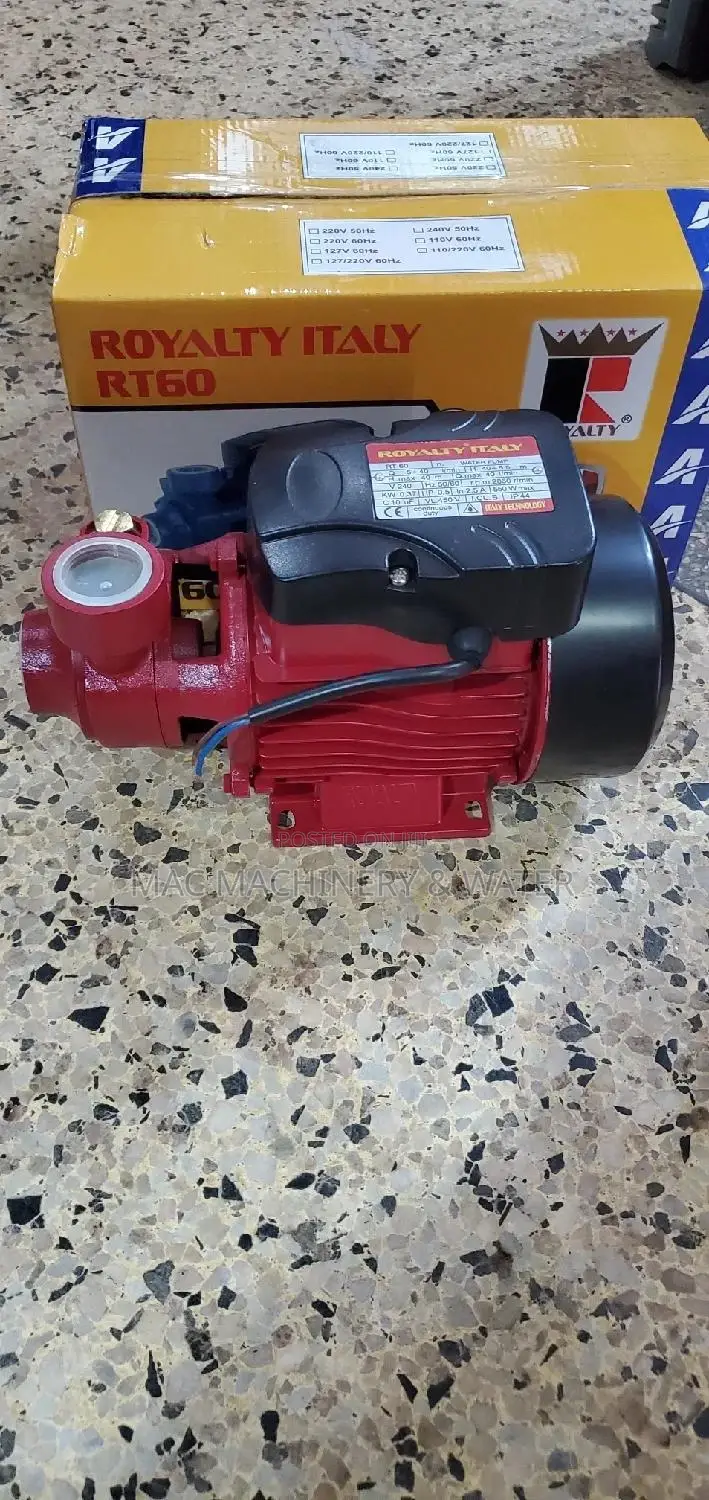 Booster Surface Water Pump Royalty Italy 