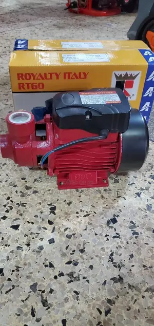 Booster Surface Water Pump Royalty Italy 