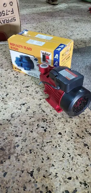 Booster Surface Water Pump Royalty Italy 