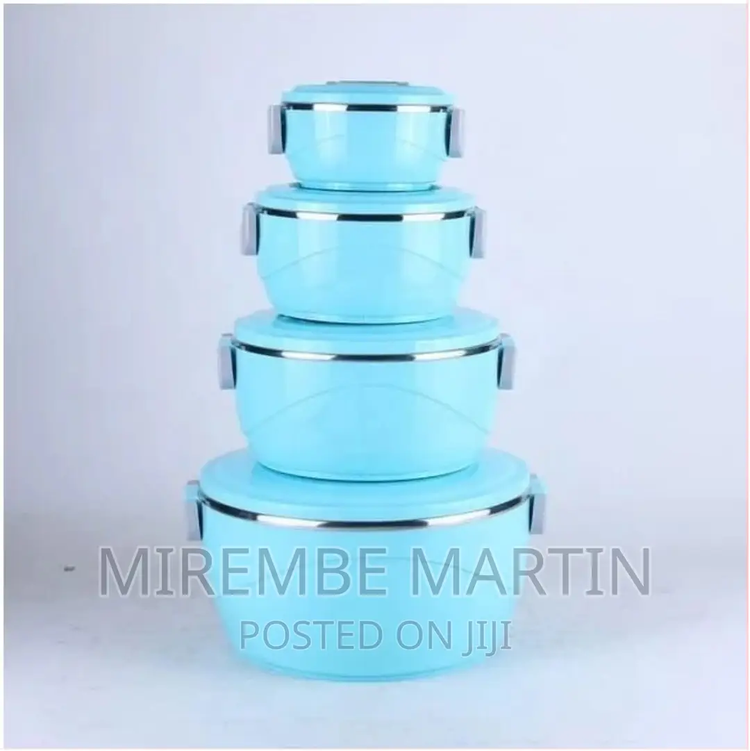 Stainless Steel Insulated Casserole Food Warmer