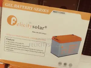 Gel Battery 100ah. Felicity. Big Solar Connect Ug.