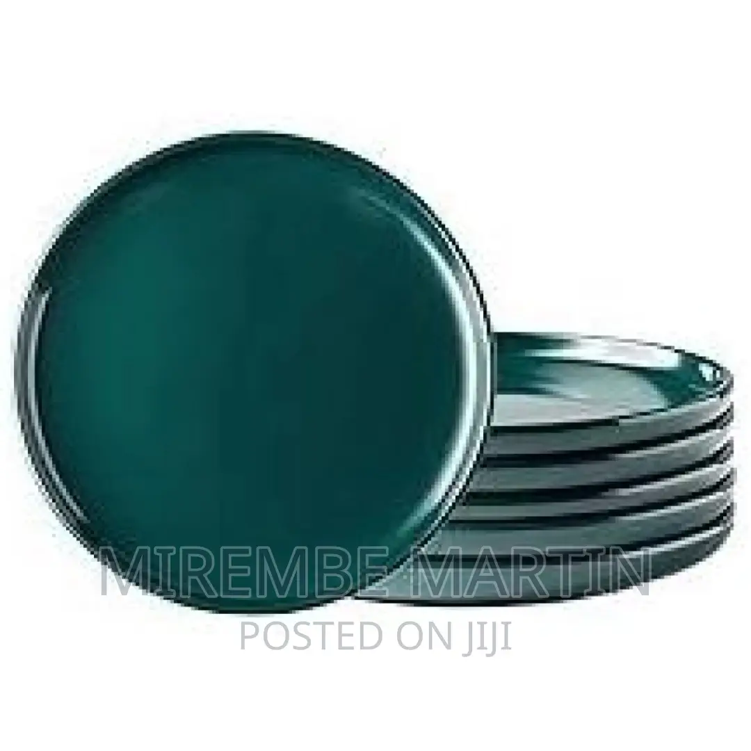 6 Pieces of 9 Inch Modern Dinner Plates Ceramic Dinnerware