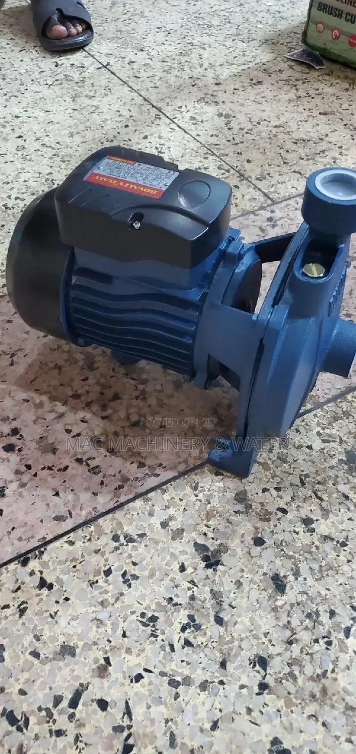 Surface Water Pump/ Booster Pump CPM - 158 Royalty 
