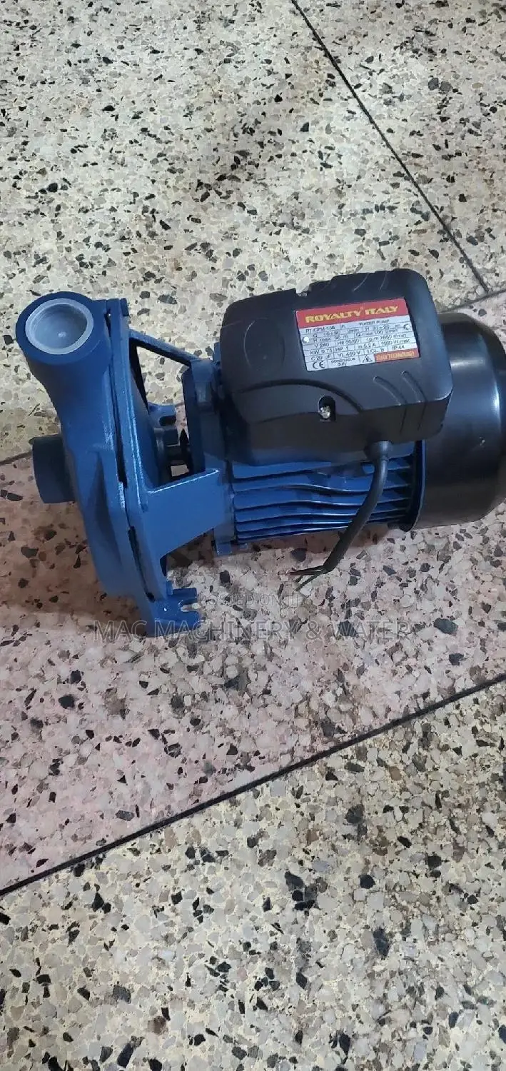 Surface Water Pump/ Booster Pump CPM - 158 Royalty 