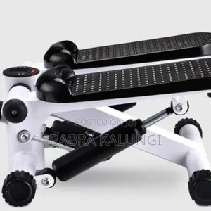 Mini Fitness Twist Stepper