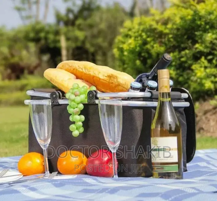 Foldable Insulated Picnic Bag