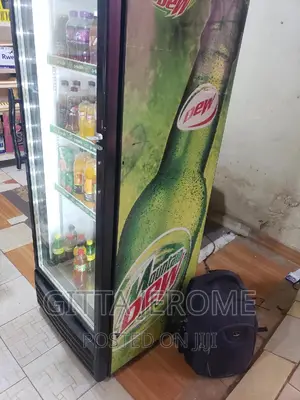Display Fridge Repair 19