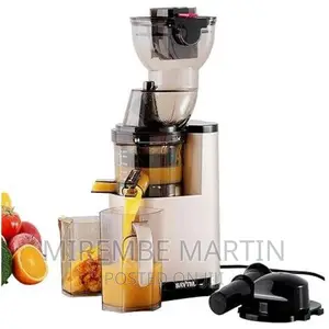 Winning Star Powerful Fruits Juicer With Sharp Blades-