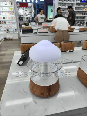 Rain Drop Humidifier/ Aroma Diffuser.