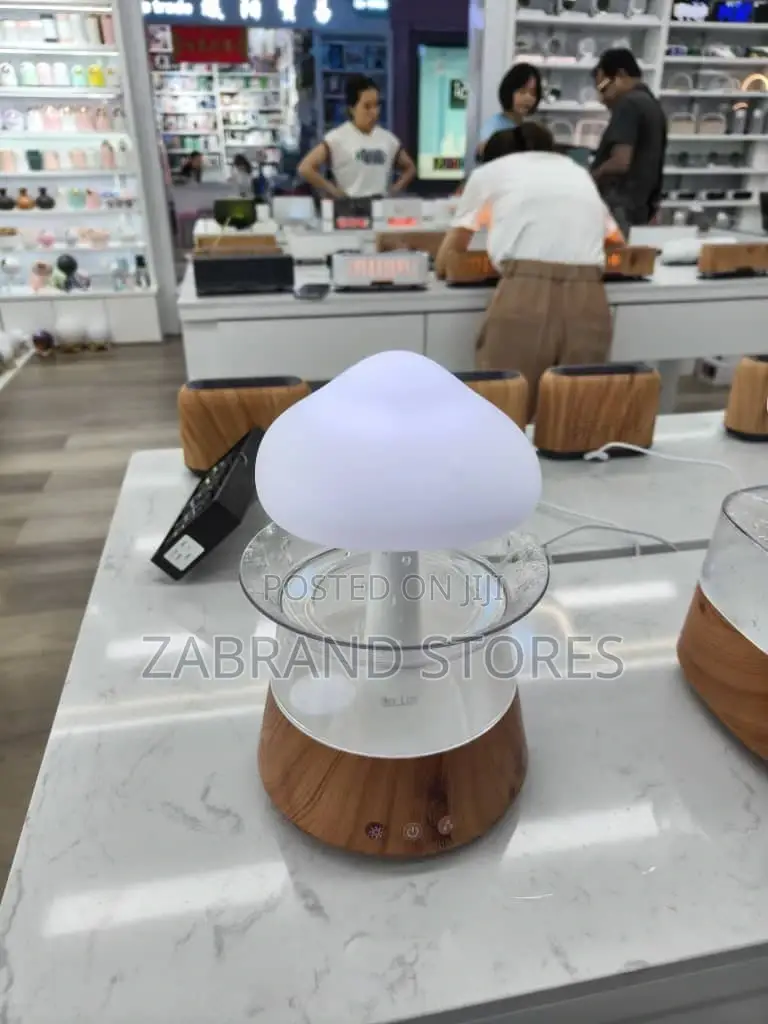 Rain Drop Humidifier/ Aroma Diffuser.