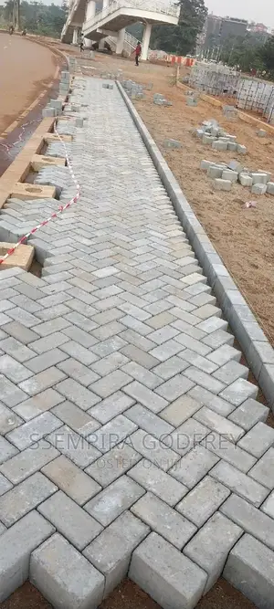 Paving With Curiosty With Artisic Plans