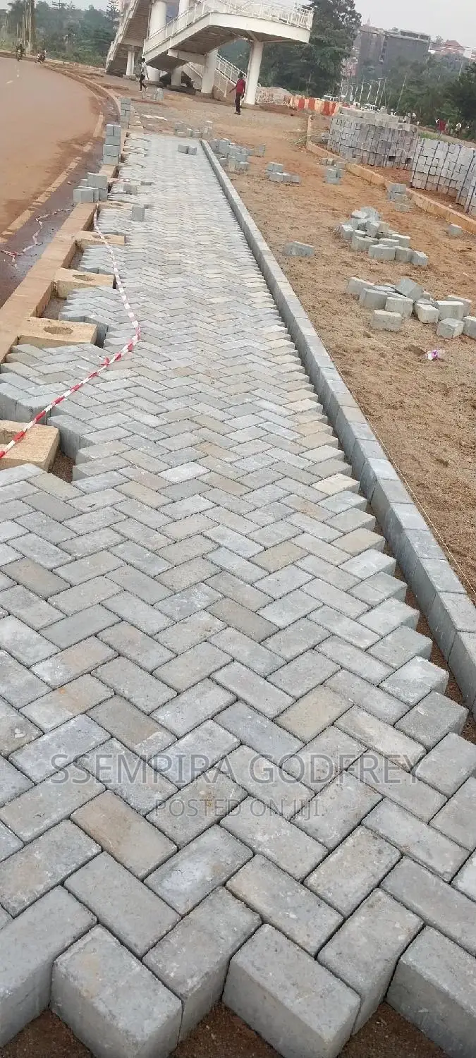 Paving With Curiosty With Artisic Plans