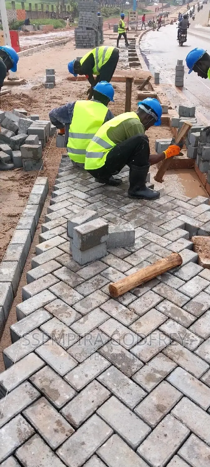 Paving With Curiosty With Artisic Plans