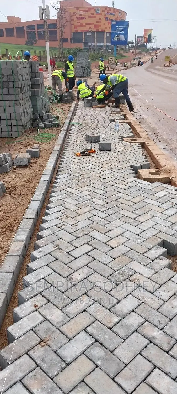 Paving With Curiosty With Artisic Plans