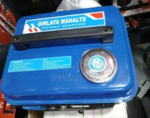 Portable Generator (Saloon Generator)