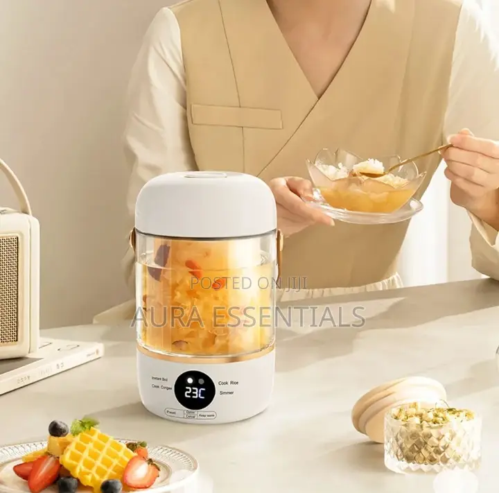 Electric Kettle 0.5L Multifunction Electric Hot Water Cup