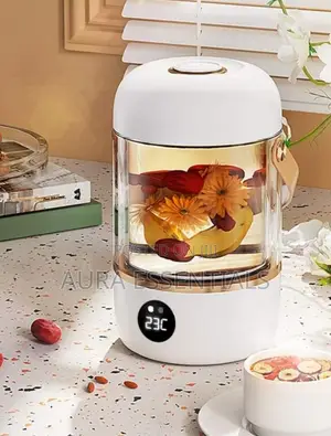 Electric Kettle 0.5L Multifunction Electric Hot Water Cup