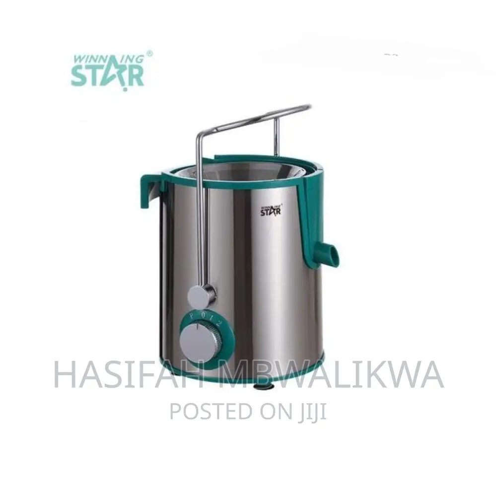 Winningstar Electric Juice Blender / Extractor.