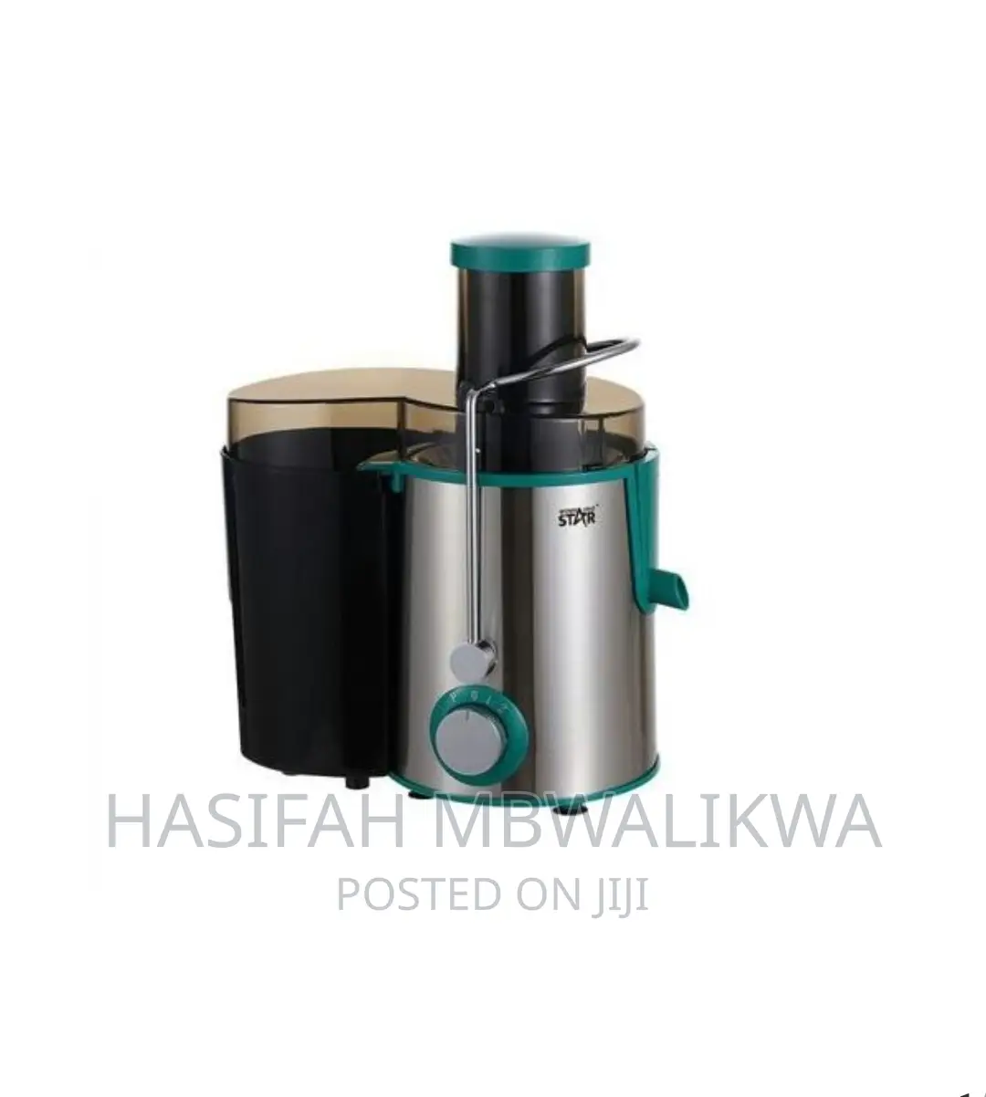Winningstar Electric Juice Blender / Extractor.