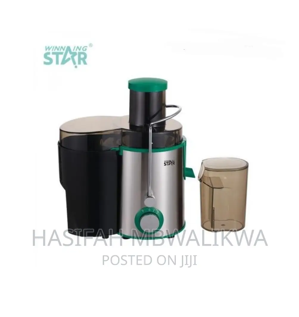Winningstar Electric Juice Blender / Extractor.