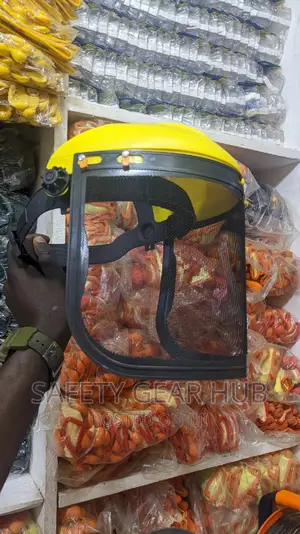 Grid Face Shield (Face Shield)(Mesh Face Shield)