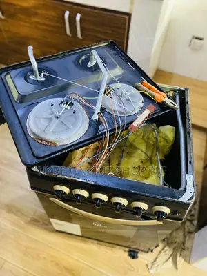 Professional Electric and Gas Cooker Services