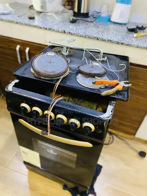 Professional Repairs and Service