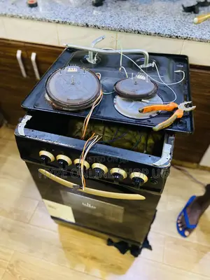 Professional Repairs and Service
