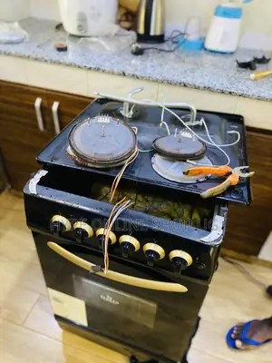 Professional Repairs and Service