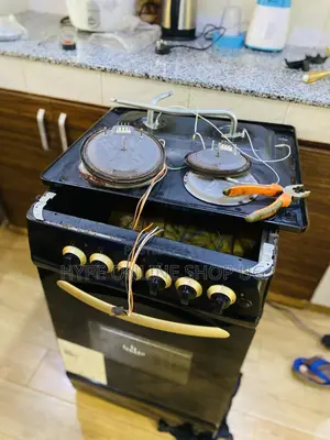 Professional Repairs and Service