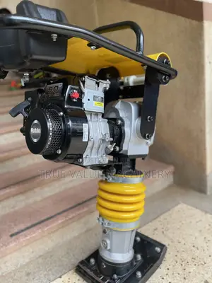 Tamping Rammer Original Robin