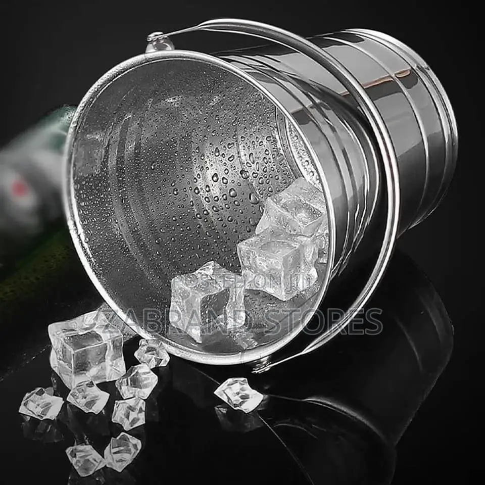 Stainless Steel Ice Buckets