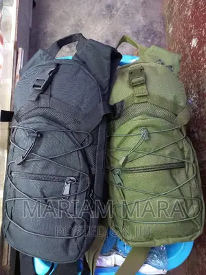 Hydration Bag / Carmel Bag