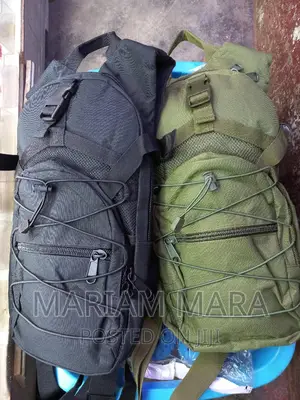 Hydration Bag / Carmel Bag