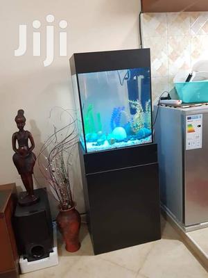 Medium Size Aquarium
