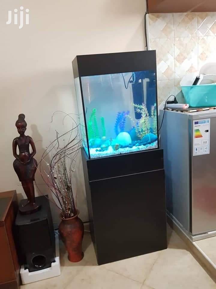 Medium Size Aquarium