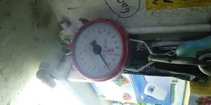 Medical Hang Weigh 100kg Mechanical Weighing Scale Farm Weighing Scale