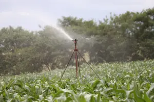 Design Of Irrigation Systems
