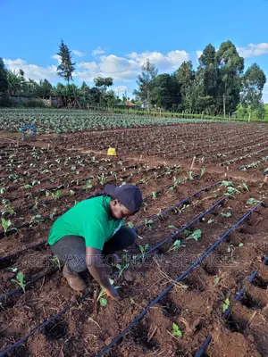 Design Of Irrigation Systems