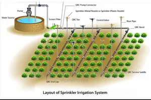 Design Of Irrigation Systems