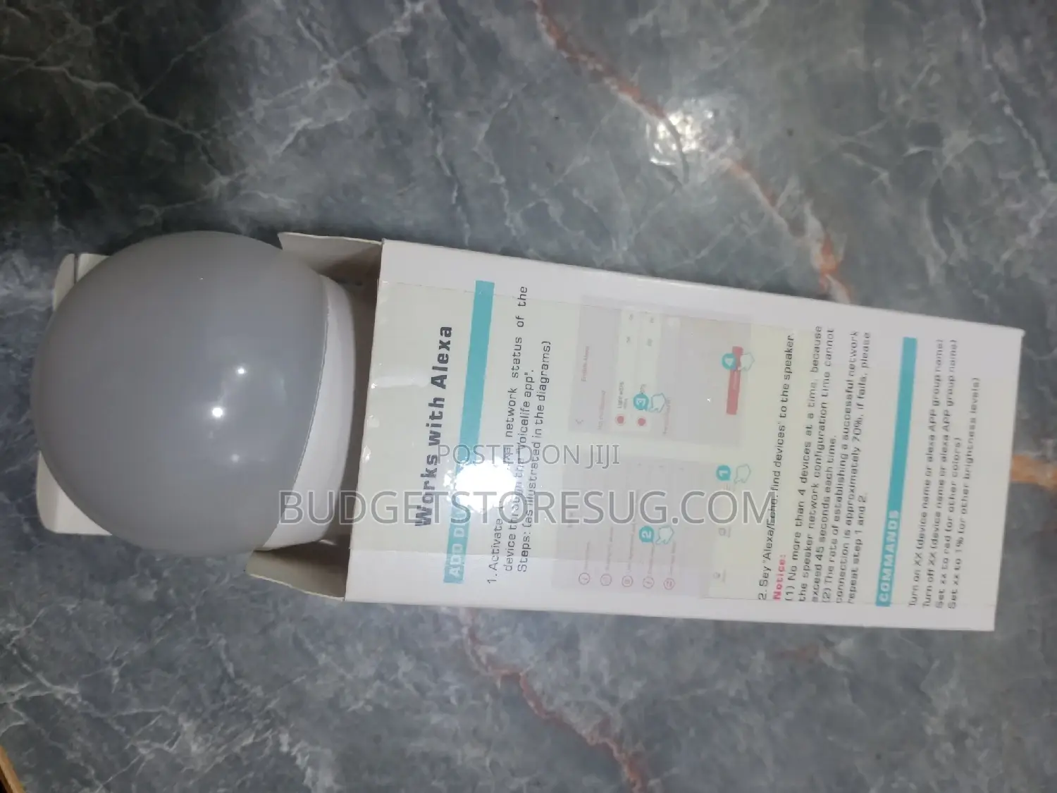 Color Changing Alexa Bulb