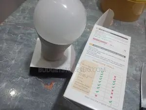 Smart LED Light Bulb