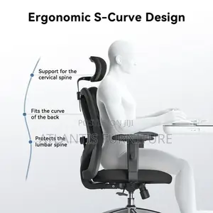 Ergonomic-S -Curve Design With Headrest