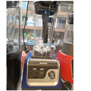 Avinas Commercial Blender.