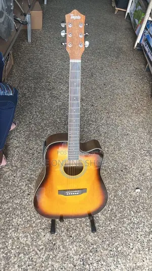 Acoustic Electric Guitars 006